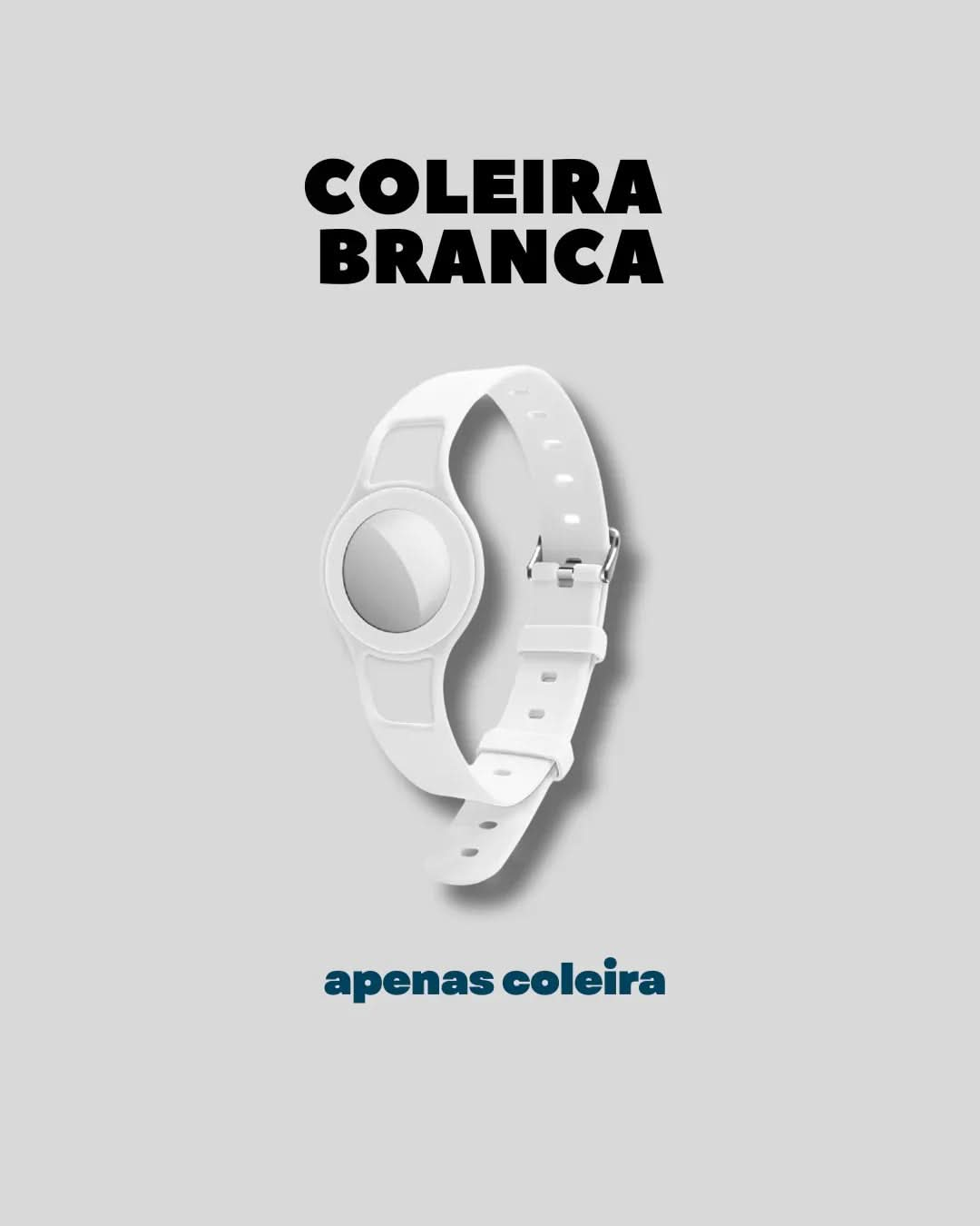 Coleira - Branca
