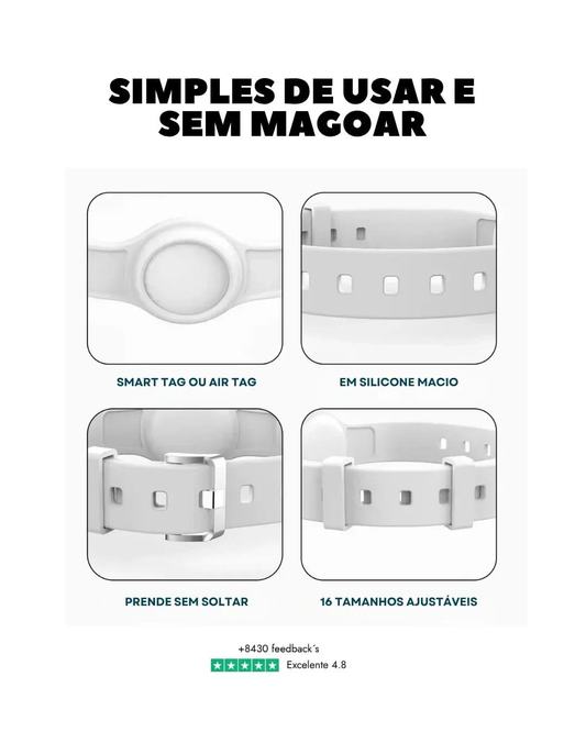 Coleira - Azul Bebé