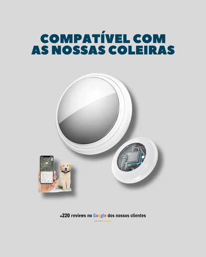 Smart Tag + Coleira