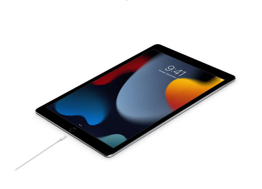 Cabo USB-C - Lightning (1 m)